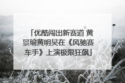 优酷闯出新赛道 黄景瑜黄明昊在《风驰赛车手》上演极限狂飙