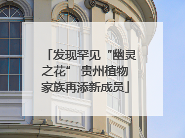 发现罕见“幽灵之花” 贵州植物家族再添新成员