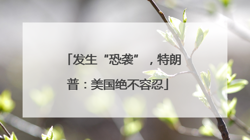 发生“恐袭”，特朗普：美国绝不容忍