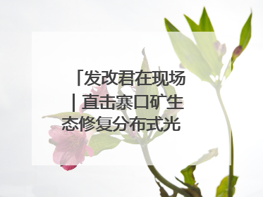发改君在现场｜直击寨口矿生态修复分布式光伏发电项目