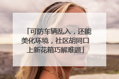 可防车辆乱入，还能美化环境，社区胡同口上新花箱巧解难题