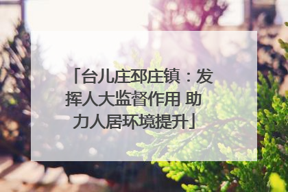台儿庄邳庄镇：发挥人大监督作用 助力人居环境提升