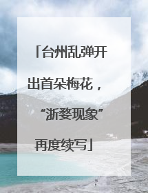 台州乱弹开出首朵梅花，“浙婺现象”再度续写