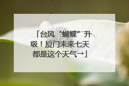 台风“蝴蝶”升级！厦门未来七天都是这个天气→