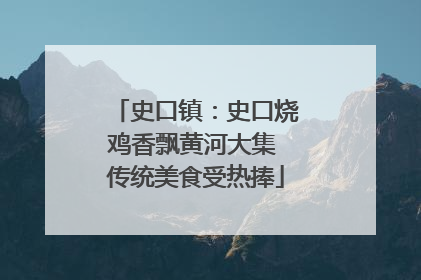 史口镇：史口烧鸡香飘黄河大集 传统美食受热捧