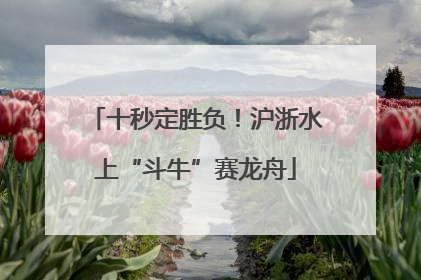 十秒定胜负！沪浙水上“斗牛”赛龙舟