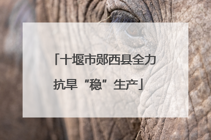 十堰市郧西县全力抗旱“稳”生产