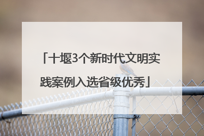 十堰3个新时代文明实践案例入选省级优秀