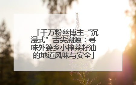千万粉丝博主“沉浸式”舌尖溯源：寻味外婆乡小榨菜籽油的地道风味与安全