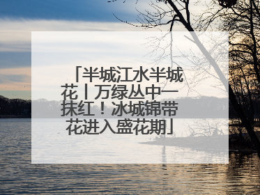 半城江水半城花丨万绿丛中一抹红！冰城锦带花进入盛花期