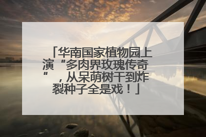 华南国家植物园上演“多肉界玫瑰传奇”，从呆萌树干到炸裂种子全是戏！