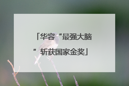 华容“最强大脑”斩获国家金奖