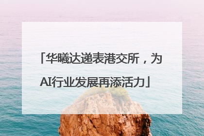 华曦达递表港交所，为AI行业发展再添活力
