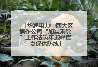 华润电力中西大区焦作公司“加减乘除”工作法筑牢迎峰度夏保供防线