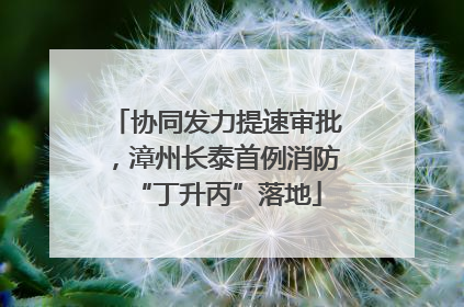协同发力提速审批，漳州长泰首例消防“丁升丙”落地