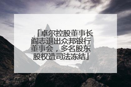 卓尔控股董事长阎志退出众邦银行董事会，多名股东股权遭司法冻结