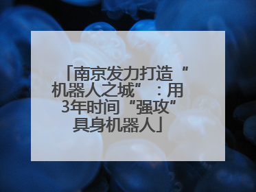南京发力打造“机器人之城”：用3年时间“强攻”具身机器人