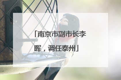 南京市副市长李晖，调任泰州