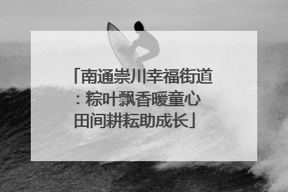 南通崇川幸福街道：粽叶飘香暖童心 田间耕耘助成长