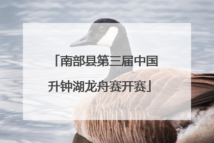 南部县第三届中国升钟湖龙舟赛开赛