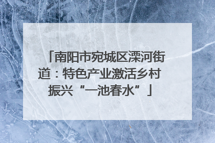 南阳市宛城区溧河街道：特色产业激活乡村振兴“一池春水”