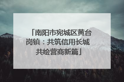 南阳市宛城区黄台岗镇：共筑信用长城 共绘营商新篇