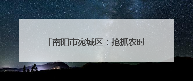 南阳市宛城区：抢抓农时保夏收 贴心服务助生产