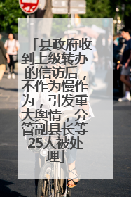 县政府收到上级转办的信访后，不作为慢作为，引发重大舆情，分管副县长等25人被处理