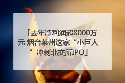 去年净利润超8000万元 烟台莱州这家“小巨人”冲刺北交所IPO