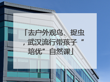去户外观鸟、捉虫，武汉流行带孩子“培优”自然课