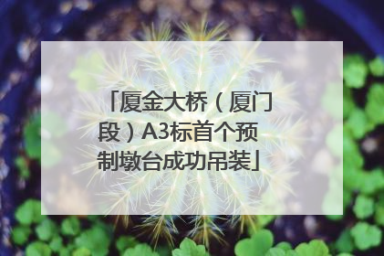 厦金大桥（厦门段）A3标首个预制墩台成功吊装