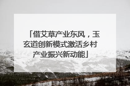 借艾草产业东风，玉玄道创新模式激活乡村产业振兴新动能