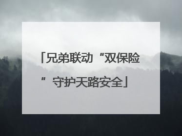 兄弟联动“双保险”守护天路安全