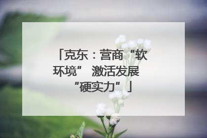 克东：营商“软环境” 激活发展“硬实力”