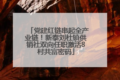 党建红链串起全产业链！新泰刘杜镇供销社双向任职激活8村共富密码