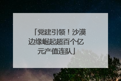 党建引领！沙漠边缘崛起超百个亿元产值连队