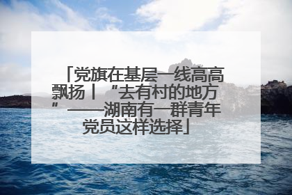 党旗在基层一线高高飘扬丨“去有村的地方”——湖南有一群青年党员这样选择