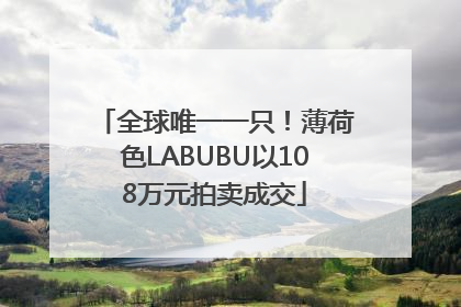 全球唯一一只！薄荷色LABUBU以108万元拍卖成交
