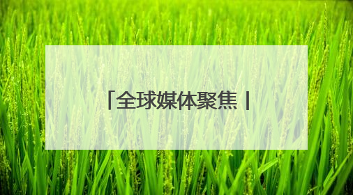 全球媒体聚焦丨就像过量的药！美国关税可能阻碍该国电池产业发展