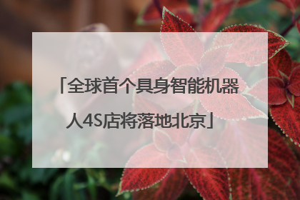 全球首个具身智能机器人4S店将落地北京