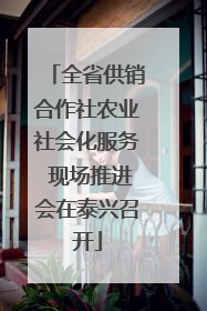 全省供销合作社农业社会化服务 现场推进会在泰兴召开