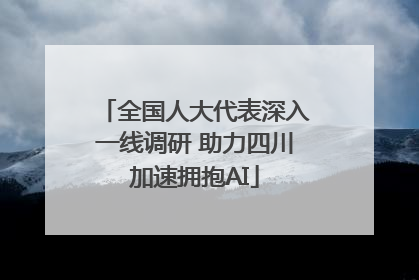 全国人大代表深入一线调研 助力四川加速拥抱AI