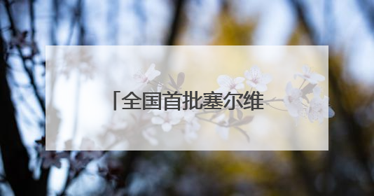 全国首批塞尔维亚“组团进口”产品运抵厦门