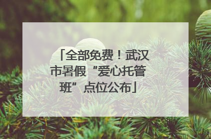 全部免费！武汉市暑假“爱心托管班”点位公布