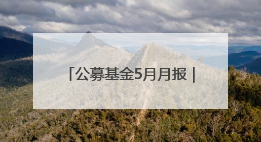 公募基金5月月报｜发生了什么？基金业绩榜变化这么大！
