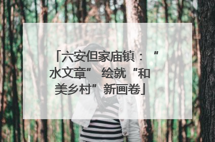 六安但家庙镇：“水文章” 绘就“和美乡村”新画卷