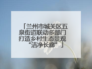 兰州市城关区五泉街道联动多部门打造乡村生态景观“洁净长廊”