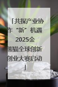 共探产业协作“新”机遇 2025金熊猫全球创新创业大赛启动