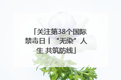 关注第38个国际禁毒日丨“无染”人生 共筑防线