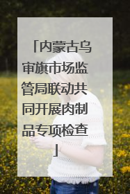 内蒙古乌审旗市场监管局联动共同开展肉制品专项检查